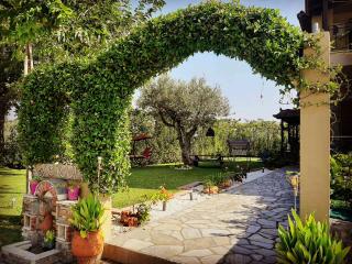 Vintage Home - Nikiti - 8