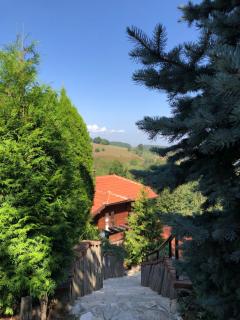Zlatibor Vila Janjić - Zlatibor - 3