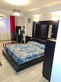 Studio 23 Constantin Brancoveanu, Craiovita, Self check-in - Craiova - 9