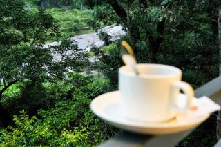 Misty Range Resorts , Marayoor - 2