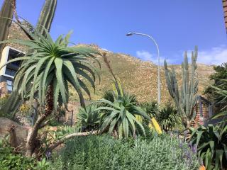 Studio with unforgettable View - 7