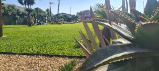 Hollidays Dreams - Póvoa de Varzim - 5