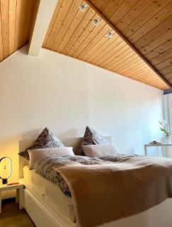 Anton-Ulrich Apartment - 1