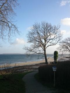 Strandappartement Steinberghaff "zur Birk" mit Meerblick - Steinberg - 4