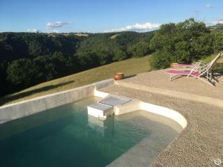 Chez Alice,simplicité et petite piscine - Mirandol-Bourgnounac - 9