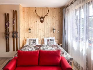 Apartman Hubert - Kašperské Hory - 0