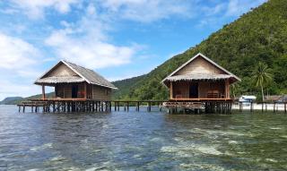Frances Homestay - Raja Ampat - 3
