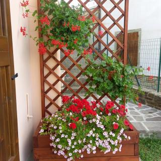 La casetta di Mizar - 2