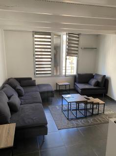 T3 duplex6 hyper-centre climatisé - Albi - 9