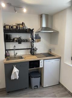 StudioA hyper-centre climatisé - Albi - 4