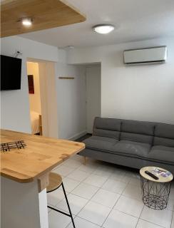 StudioC hyper-centre climatisé - Albi - 1