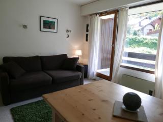 Studio cabine 4 pers, balcon, proche pistes et centre, garage sous-sol, tout équipé - FR-1-263-436 - Valloire - 0