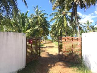 Paradise holidays in the tropics - Kottanitivu - 6