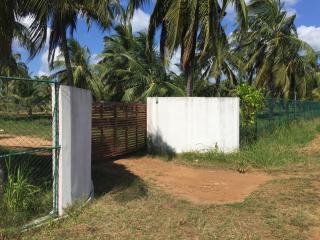 Paradise holidays in the tropics - Kottanitivu - 7