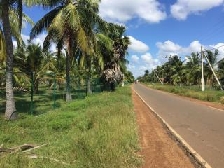 Paradise holidays in the tropics - Kottanitivu - 9