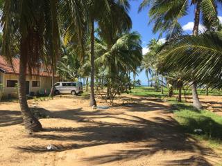 Paradise holidays in the tropics - Kottanitivu - 4