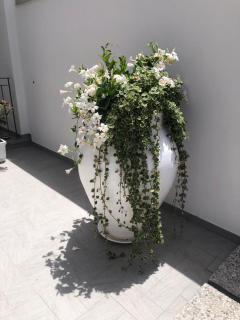 Il Fiore Bianco - Capo dʼOrlando - 6