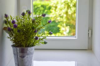 Grande Chambre d'hôte Les Chats-Pîtres - 6