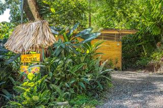 Bee Happy Studio - Cahuita - 8
