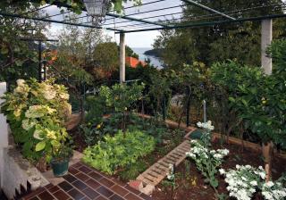 Rooms with WiFi Dubrovnik - 4693 - 4