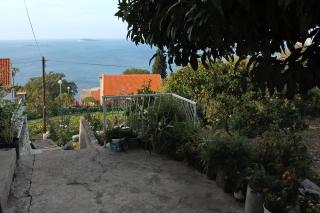 Apartments with a parking space Plat, Dubrovnik - 4776 - Mlini - 5