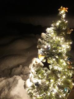 Casa all'Alpe Gaggetto B & B - 7