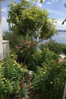 Apartments by the sea Pisak, Omis - 2750 - 2