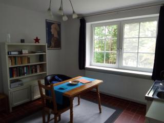 Ländliche 1-Raumwohnung im Park - Thulendorf - 6