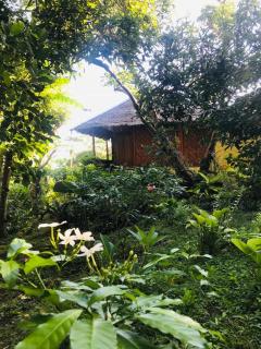 Panorama Cottage - 1