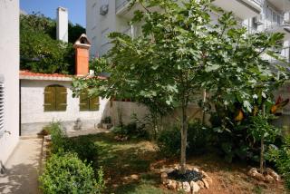 Studio Nemira 4652c - Tice - 4