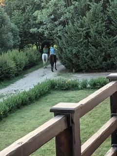 Guest House La Carolina - Tigliole - 4