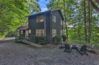 Blue Ridge Lookout Beautiful Modern Cabin - Nature Hikes and Pets OK cabin - Waynesville - 0