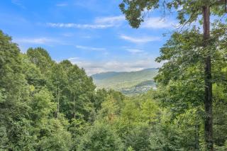 Blue Ridge Lookout Beautiful Modern Cabin - Nature Hikes and Pets OK cabin - Waynesville - 5