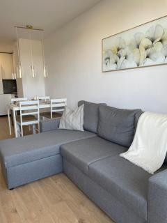 Premium Apartment with Private Parking near City Center - Kattowitz - 8