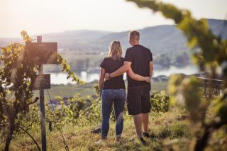 Winzerhof Supperer - Rossatz - 7