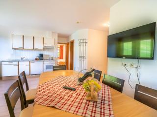 8 Pax & 3 BTH Apartment in Neustift im Stubaital - Neustift im Stubaital - 7