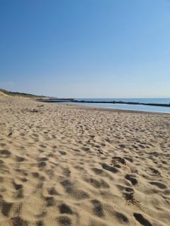 Chalet Cosy à 10min des plages- Soulac-sur-Mer - Soulac-sur-Mer - 1