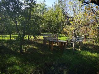 Casa Babu - Slăviteşti - 6