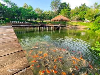 Norn Nab Dao RimPhu Resort - Chiang Khan - 7