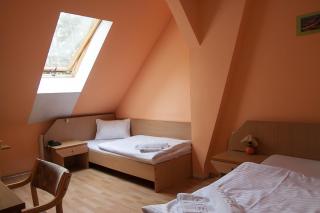 Hotel Aeroplan - Zielona Góra - 1