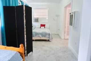 The Marlin Rooster Apartments - Miami - 3