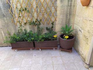 Gozo Rustic Farmhouse with stunning views and swimming pool - Sannat - 2