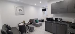 Apartman Julija 2 - Rijeka - 8