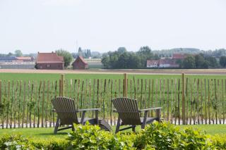 Cottage d'Hoge Schure - Heuvelland - 5