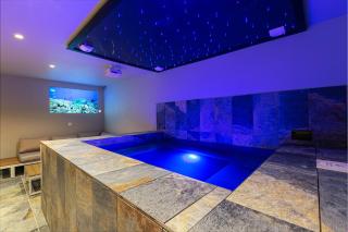 Gites Spa Strasbourg - Villa Gorille - SPA Privé, Sauna, Borne d'arcade, Babyfoot - Ittenheim - 9