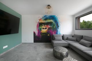 Gites Spa Strasbourg - Villa Gorille - SPA Privé, Sauna, Borne d'arcade, Babyfoot - Ittenheim - 5