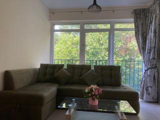 Lazdyneliu Apartamentai - Vilnius - 8
