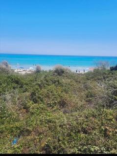 kelibia maison a 170 m de la plage Ezzahra - Kelibia - 0
