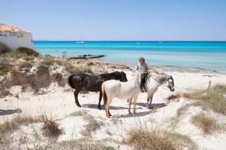 Mallorca Dream - Ses Salines - 2