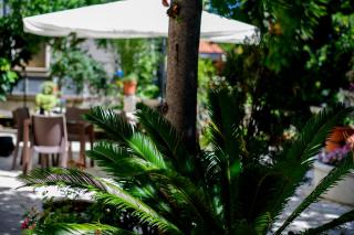 B&B La Fontanella - San Benedetto del Tronto - 1